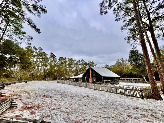 Okefenokee National Wildlife Refuge by null