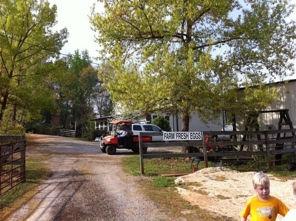 OAKVIEW FARMS Updated 2024 164 Dewberry Trl, Wetumpka, Alabama