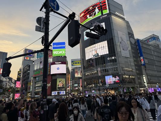 Shibuya Crossing by null