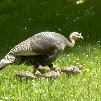 Indian Mary Park - Mamas and babies everywhere - Parks Near Me - Merlin, Oregon Indian Mary Park - Mamas and babies everywhere - Parks Near Me - Merlin, Oregon