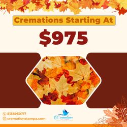 Cremations of Tampa - Cremations $975