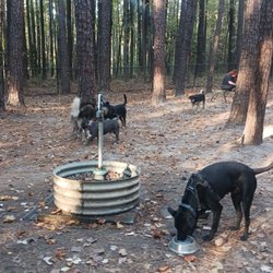 Rock Quarry Dog Park - The water faucet inside the park