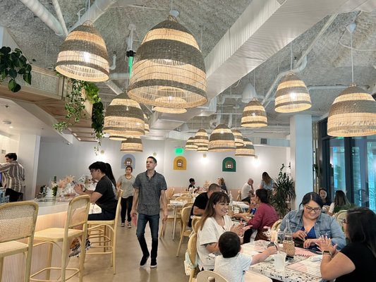 Box St. All Day Brunch - Hemisfair by null