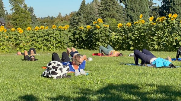 Lee Family Farms by null