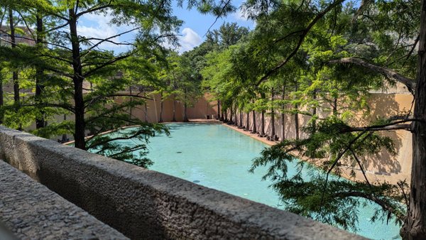 Fort Worth Water Gardens by null