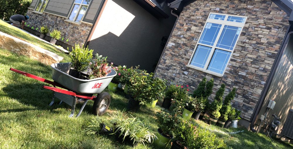 WILLIAMS LAWN & TOTAL MAINTENANCE Updated August 2024 Lee's Summit