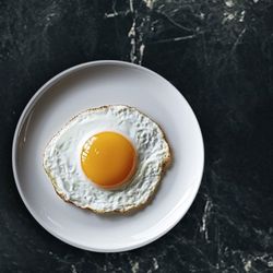 Bee Licious - Egg