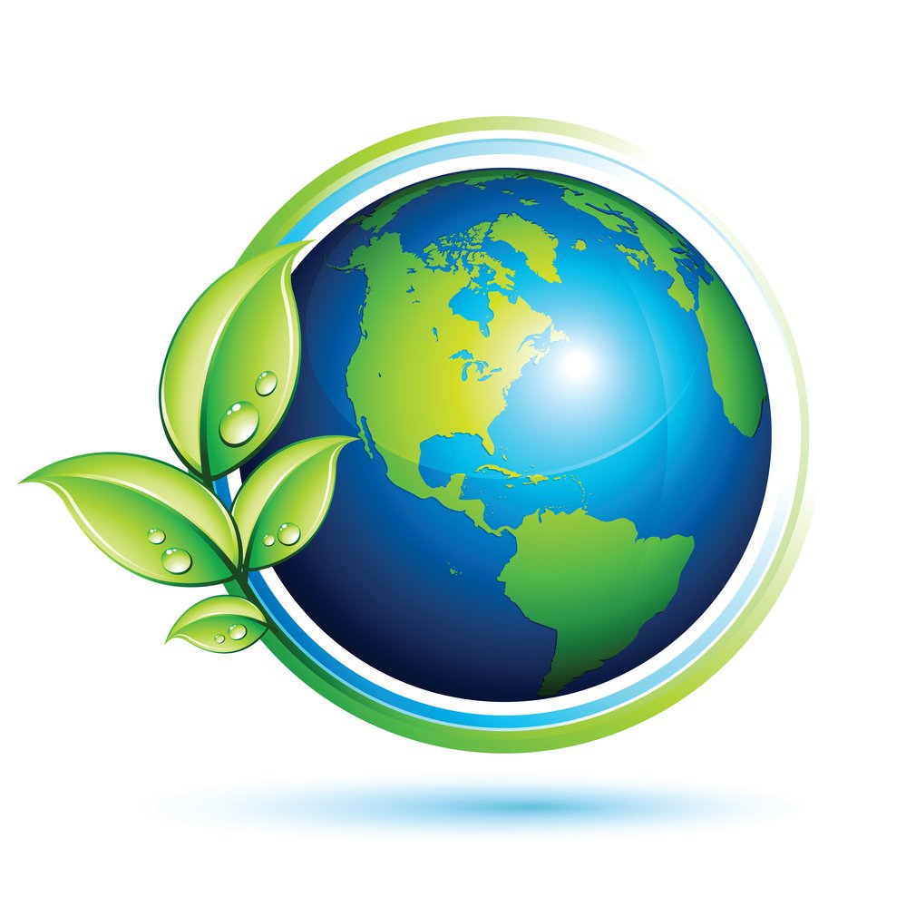 Slide of Go Green Rooter