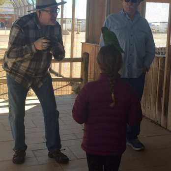 Rooster Cogburn Ostrich Ranch - Petting Zoos Near Me - Picacho, Arizona Rooster Cogburn Ostrich Ranch - Petting Zoos Near Me - Picacho, Arizona