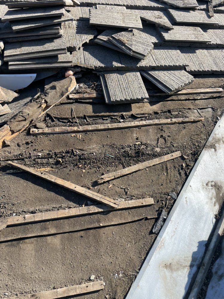 Slide of JVR Waterproofing, pigeon Removal and Gutter Cleaning