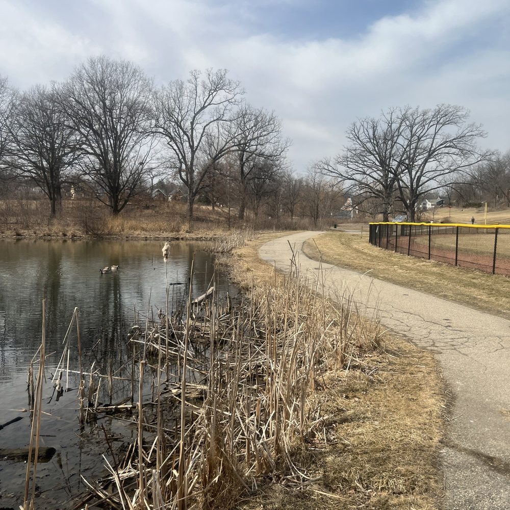West Park - Parks Near Me - Ann Arbor, Michigan West Park - Parks Near Me - Ann Arbor, Michigan