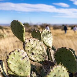 Guadalupe Mountains National Park - Guadalupe Mountains National Park