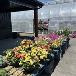 Market 1892 - Greenhouse