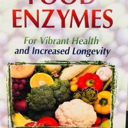 Holistic Essentials - Discover how high quality enzymes can assist in easing digestive discomforts