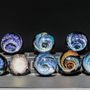 Photo of Gator Glass Art