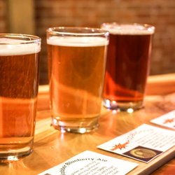 4 Sisters 4th Street Bar and Catering - Beer Flights