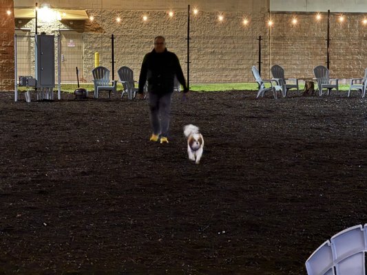 MUTTS Canine Cantina® - Austin by null