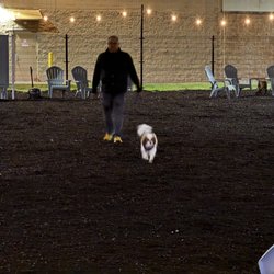 The Tailgate ATX - Dog park