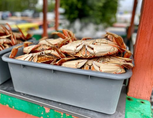 South Beach Fish Market by null