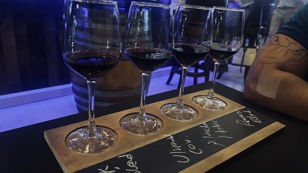 Mellow Grapes Miami by null