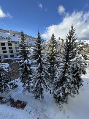 Park Hyatt Beaver Creek Resort and Spa by null