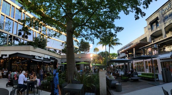 Mister O1 Extraordinary Pizza - Coconut Grove by null
