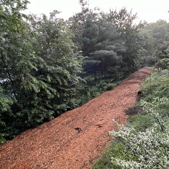 North Smithfield Tree Service - Tree Services Near Me - North Smithfield, Rhode Island