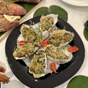 Cabo Catering NUMA - Oysters - Caterers Near Me - Cabo San Lucas, BCS Cabo Catering NUMA - Oysters - Caterers Near Me - Cabo San Lucas, BCS