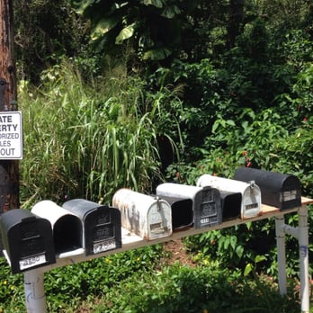 Palolo Valley - Trail entrance is just behind the mailboxes. You'll have to peek in the bushes to find it. Pretty cool! - Hiking Near Me Palolo Valley - Trail entrance is just behind the mailboxes. You'll have to peek in the bushes to find it. Pretty cool! - Hiking Near Me