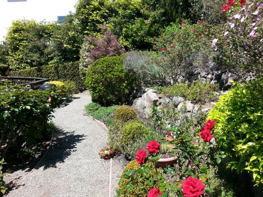 Gardening - Gardella Gardening - Gardening - Gardella Gardening