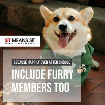 Sit Means Sit - Pet Attendant Service - Pet Training Near Me - Kingsville, Maryland Sit Means Sit - Pet Attendant Service - Pet Training Near Me - Kingsville, Maryland