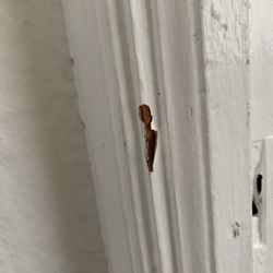 Lowe's Home Improvement