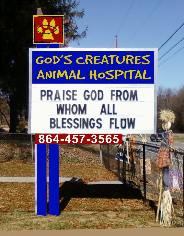GOD’S CREATURES ANIMAL HOSPITAL Updated August 2024 136 S Howard Ave, Landrum, South