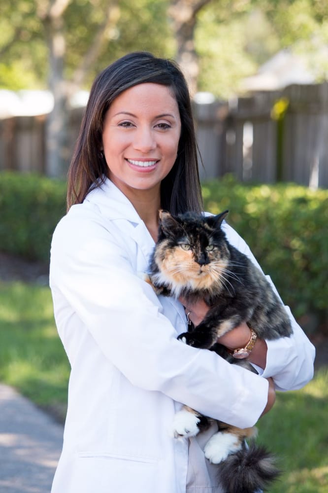 Sierra Animal Hospital Image