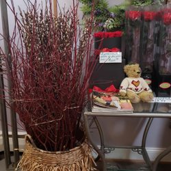 Fresh red twig Dogwood and pussywillow