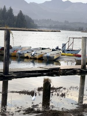 The Salmonberry by null