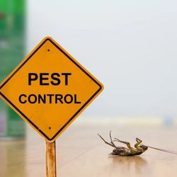 Death Row Pest Control