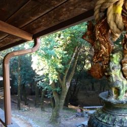 Jikoji Zen Center - Overlooking the backyard of the temple
