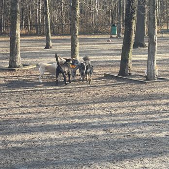 1. Grist Mill Dog Park