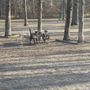 Photo of Grist Mill Dog Park