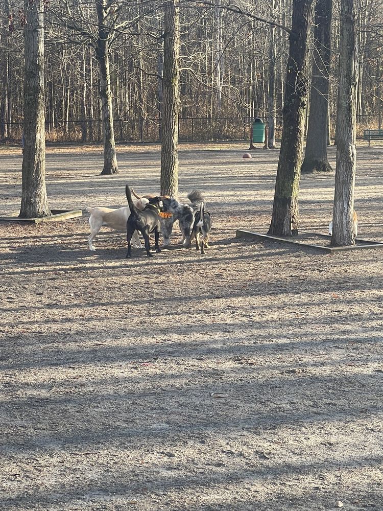 Grist Mill Dog Park Logo