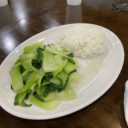 Bamboo Terrace - V3. Stir-fried Shanghai Bok Choy 清炒上海青 ($11.95)