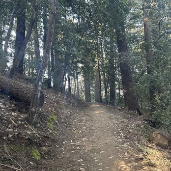 PG&E Trail - PG&E easy hiking trail - Hiking Near Me - Cupertino, California