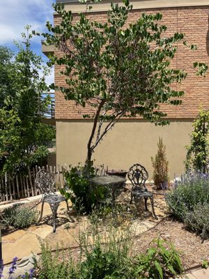 Amarillo Botanical Gardens by null