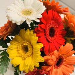 Domenic Graziano Flowers - Some warm hues from the single stems case