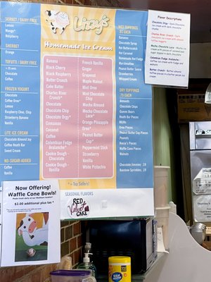 Lizzy's Ice Cream by null