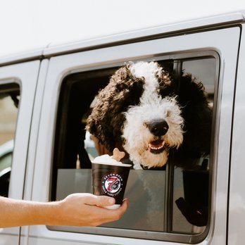 7 Brew Coffee - 7 Brew Coffee Pup Cup - Coffee & Tea Near Me - Mansfield, Texas