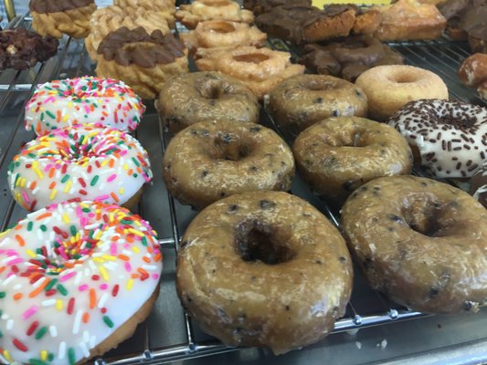 Donut City by null