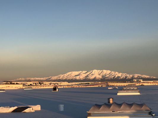 Mj Cali Roofing Logo