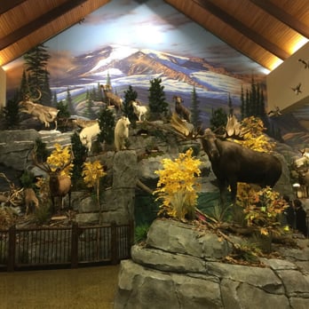 Cabela's - Guns & Ammo Near Me - Berlin, Massachusetts